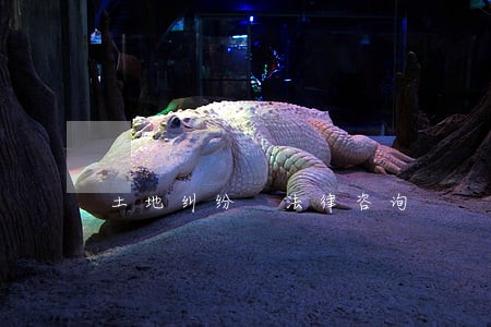 土地纠纷 法律咨询 土地纠纷 法律咨询